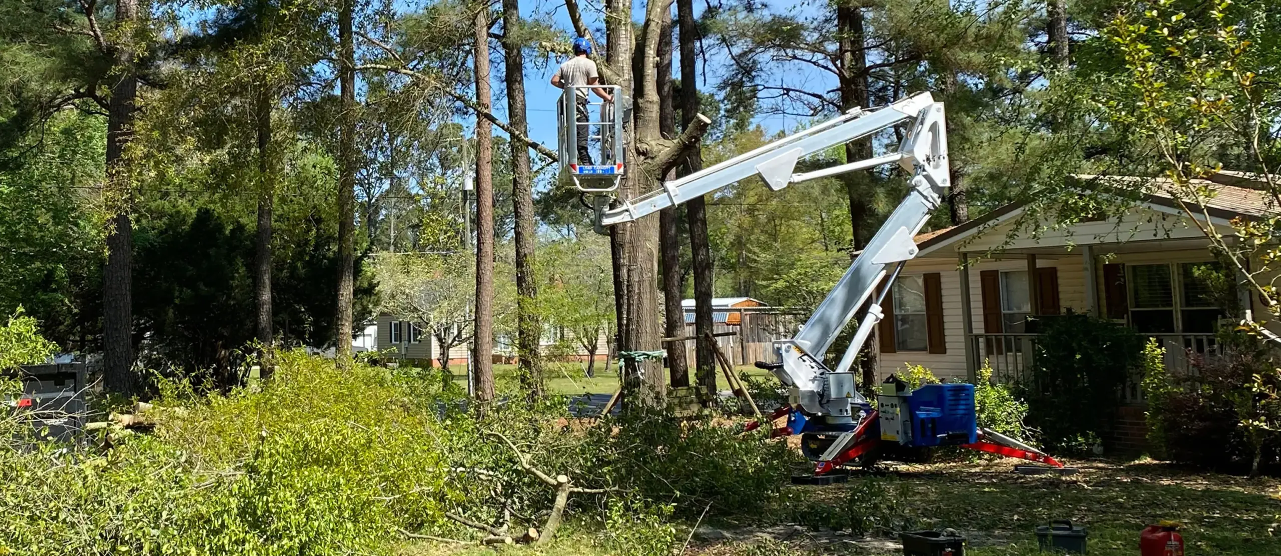 Palazzani North America Spider Lifts Aerial Platform for Sales TZX 550 machine trimming tree in a wood next to a cabin