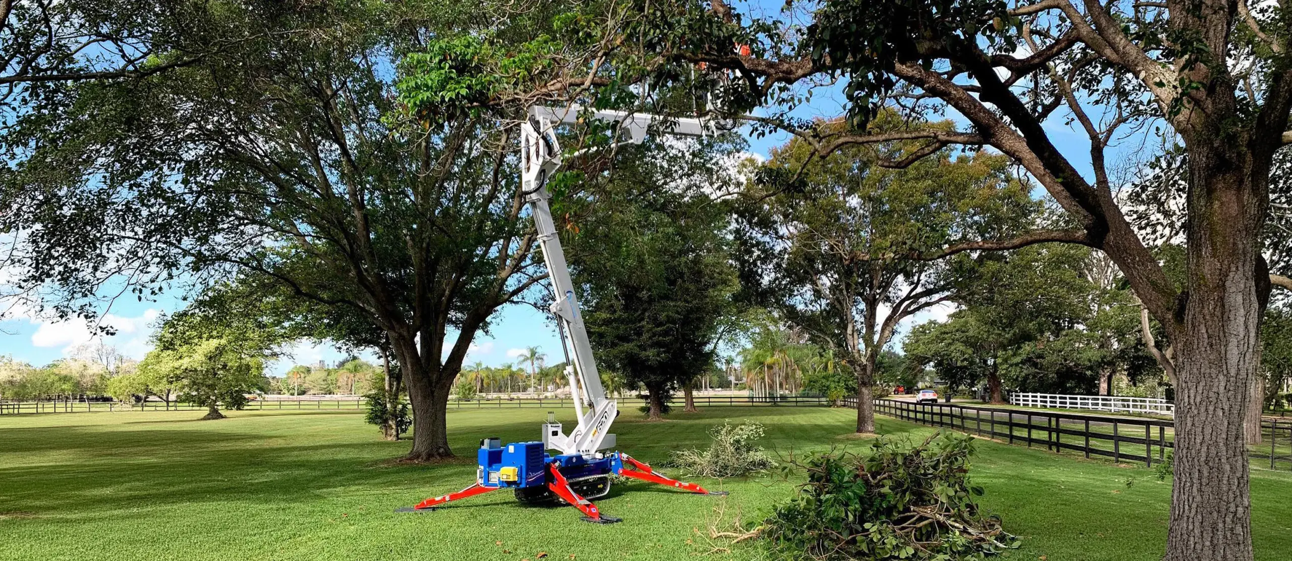 Palazzani North America Spider Lifts Aerial Platform for Sales TZX 620 machine trimming trees in a field